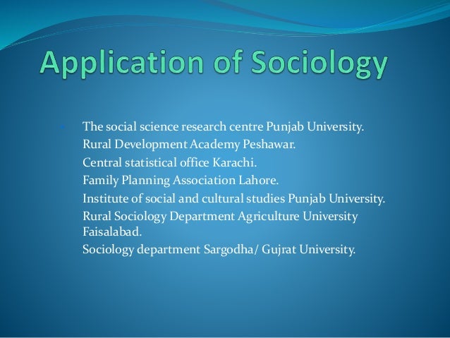 sociology phd application