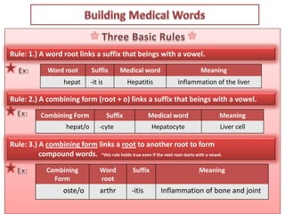 Locate the pronunciation guidelines chart and interpret pronunciation marks.