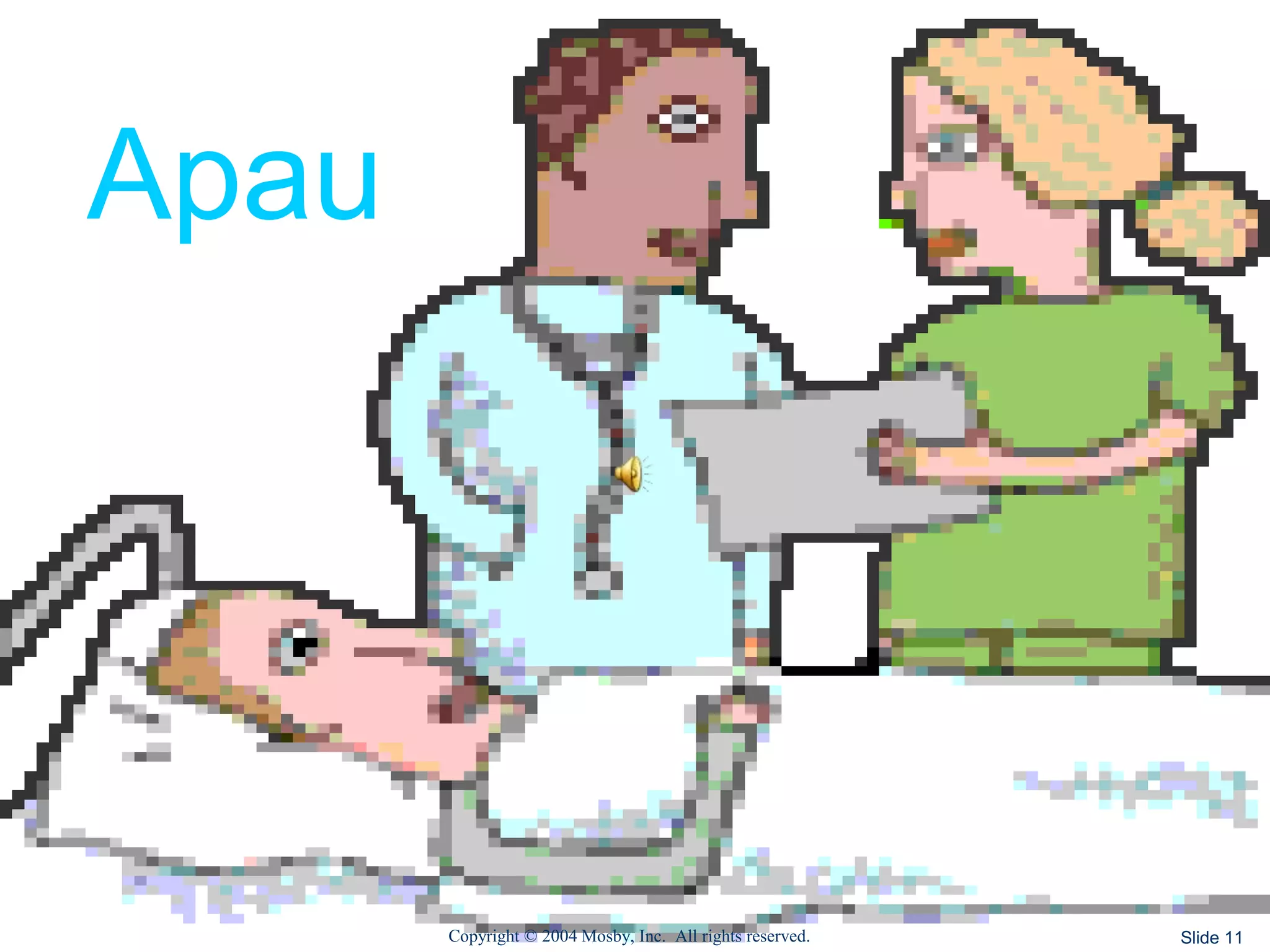 Copyright © 2004 Mosby, Inc. All rights reserved. Slide 11
Apau
 