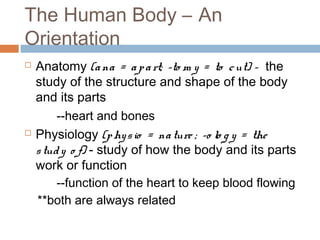 The Human Body – An
Orientation
 Anatomy (ana = apart; -to m y = to cut) - the
study of the structure and shape of the body
and its parts
--heart and bones
 Physiology (physio = nature ; -o lo g y = the
study o f) - study of how the body and its parts
work or function
--function of the heart to keep blood flowing
**both are always related
 