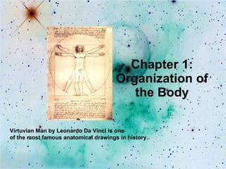 Chapter 1:
                                      Organization of
                                         the Body

Virtuvian Man by Leonardo Da Vinci is one
of the most famous anatomical drawings in history.
 