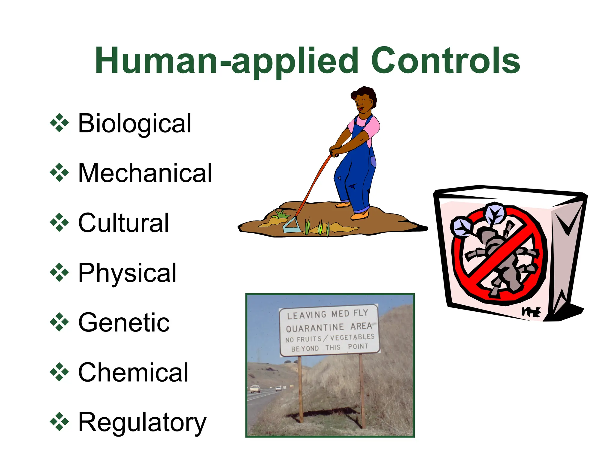 Pest Management and Control PowerPoint presentation | PDF