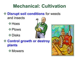 Mechanical: Cultivation
v Disrupt soil conditions for weeds
and insects
vHoes
vPlows
vDisks
v Control growth or destroy
plants
vMowers
 