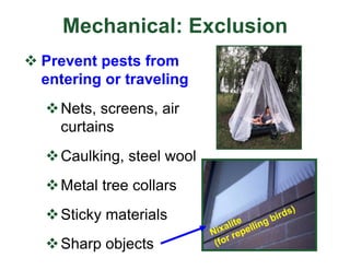Mechanical: Exclusion
v Prevent pests from
entering or traveling
vNets, screens, air
curtains
vCaulking, steel wool
vMetal tree collars
vSticky materials
vSharp objects
 