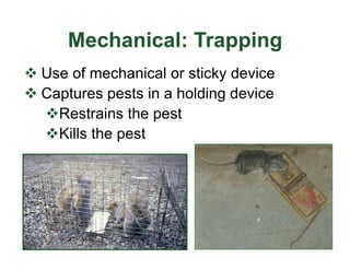 Mechanical: Trapping
v Use of mechanical or sticky device
v Captures pests in a holding device
vRestrains the pest
vKills the pest
 