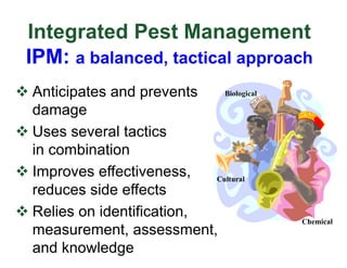 Integrated Pest Management
IPM: a balanced, tactical approach
v Anticipates and prevents
damage
v Uses several tactics
in combination
v Improves effectiveness,
reduces side effects
v Relies on identification,
measurement, assessment,
and knowledge
Biological
Chemical
Cultural
 