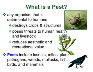 What is a Pest?
v any organism that is
detrimental to humans
vdestroys crops & structures
vposes threats to human health
and livestock
vreduces aesthetic and
recreational value
v Pests include insects, mites, plant
pathogens, weeds, mollusks, fish,
birds, and mammals
 