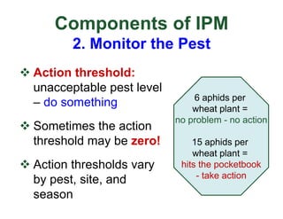 Components of IPM
2. Monitor the Pest
v Action threshold:
unacceptable pest level
– do something
v Sometimes the action
threshold may be zero!
v Action thresholds vary
by pest, site, and
season
6 aphids per
wheat plant =
no problem - no action
15 aphids per
wheat plant =
hits the pocketbook
- take action
 
