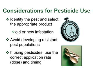 Considerations for Pesticide Use
v Identify the pest and select
the appropriate product
vold or new infestation
v Avoid developing resistant
pest populations
v If using pesticides, use the
correct application rate
(dose) and timing
 