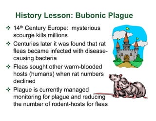 History Lesson: Bubonic Plague
v 14th Century Europe: mysterious
scourge kills millions
v Centuries later it was found that rat
fleas became infected with disease-
causing bacteria
v Fleas sought other warm-blooded
hosts (humans) when rat numbers
declined
v Plague is currently managed
monitoring for plague and reducing
the number of rodent-hosts for fleas
 