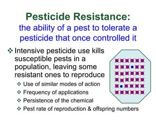 Pesticide Resistance:
the ability of a pest to tolerate a
pesticide that once controlled it
vIntensive pesticide use kills
susceptible pests in a
population, leaving some
resistant ones to reproduce
v Use of similar modes of action
v Frequency of applications
v Persistence of the chemical
v Pest rate of reproduction & offspring numbers
 