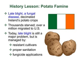 History Lesson: Potato Famine
v Late blight, a fungal
disease, decimated
Ireland’s potato crops
v Thousands starved; over a
million migrated to U.S.
v Today, late blight is still a
major problem, but is
managed by:
v resistant cultivars
v proper sanitation
v fungicide applications
 