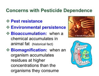 Concerns with Pesticide Dependence
v Pest resistance
v Environmental persistence
v Bioaccumulation: when a
chemical accumulates in
animal fat (historical fact)
v Biomagnification: when an
organism accumulates
residues at higher
concentrations than the
organisms they consume
Colorado Potato Beetle
 