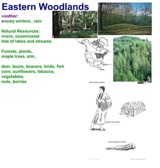 Eastern WoodlandsWeather:snowy winters , rainNatural Resources:rivers, ocean/coastlots of lakes and streamsForests, plants, maple trees, elm,deer, bears, beavers, birds, fishcorn, sunflowers, tobacco, vegetables,nuts, berries