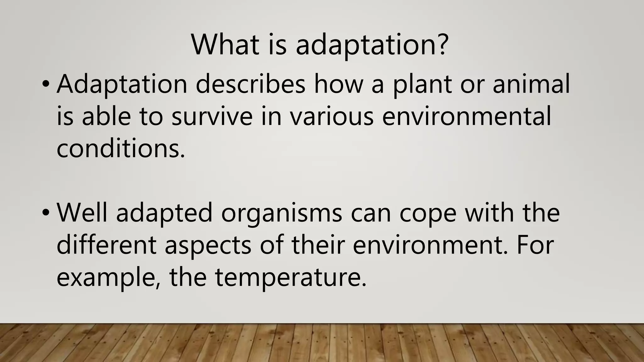 Chapter 1 the living world adaptation and classification | PPTX