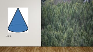 CONE
 