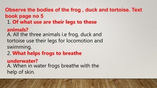Observe the bodies of the frog , duck and tortoise. Text
book page no 5
1. Of what use are their legs to these
animals?
A. All the three animals i.e frog, duck and
tortoise use their legs for locomotion and
swimming.
2. What helps frogs to breathe
underwater?
A. When in water frogs breathe with the
help of skin.
 
