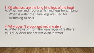 3. Of what use are the long hind legs of the frog?
A. When on land frog uses its hind legs for jumping.
When is water the same legs are used for
swimming as oars.
4. Why doesn’t a duck get wet in water?
A. Water flows off from the waxy layer of feathers
thus duck does not get wet even in water.
 