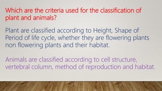 Which are the criteria used for the classification of
plant and animals?
Plant are classified according to Height, Shape of
Period of life cycle, whether they are flowering plants
non flowering plants and their habitat.
Animals are classified according to cell structure,
vertebral column, method of reproduction and habitat.
 
