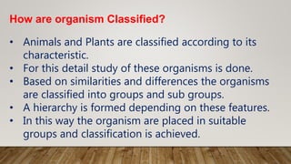 How are organism Classified?
• Animals and Plants are classified according to its
characteristic.
• For this detail study of these organisms is done.
• Based on similarities and differences the organisms
are classified into groups and sub groups.
• A hierarchy is formed depending on these features.
• In this way the organism are placed in suitable
groups and classification is achieved.
 