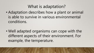 What is adaptation?
• Adaptation describes how a plant or animal
is able to survive in various environmental
conditions.
• Well adapted organisms can cope with the
different aspects of their environment. For
example, the temperature.
 