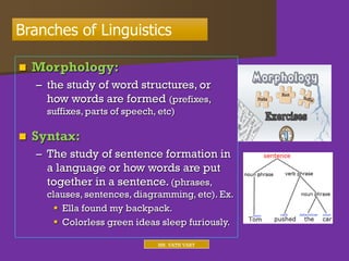 Ch 1 What Is Linguistics Ppt Pdf Ch 1 What Is Linguistics Ppt Pdf