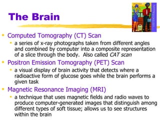 The Brain Computed Tomography (CT) Scan a series of x-ray photographs taken from different angles and combined by computer into a composite representation of a slice through the body.  Also called  CAT scan Positron Emission Tomography (PET) Scan   a visual display of brain activity that detects where a radioactive form of glucose goes while the brain performs a given task Magnetic Resonance Imaging (MRI)  a technique that uses magnetic fields and radio waves to produce computer-generated images that distinguish among different types of soft tissue; allows us to see structures within the brain 