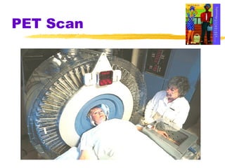 PET Scan 