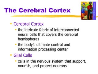 The Cerebral Cortex Cerebral Cortex   the intricate fabric of interconnected neural cells that covers the cerebral hemispheres the body’s ultimate control and information processing center Glial Cells   cells in the nervous system that support, nourish, and protect neurons 