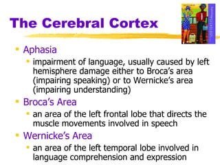 The Cerebral Cortex Aphasia impairment of language, usually caused by left hemisphere damage either to Broca’s area (impairing speaking) or to Wernicke’s area (impairing understanding) Broca’s Area   an area of the left frontal lobe that directs the muscle movements involved in speech Wernicke’s Area   an area of the left temporal lobe involved in language comprehension and expression 