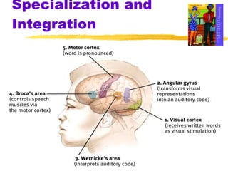 Specialization and Integration 