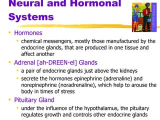 Neural and Hormonal Systems Hormones chemical messengers, mostly those manufactured by the endocrine glands, that are produced in one tissue and affect another Adrenal [ah-DREEN-el] Glands   a pair of endocrine glands just above the kidneys secrete the hormones epinephrine (adrenaline) and norepinephrine (noradrenaline), which help to arouse the body in times of stress Pituitary Gland under the influence of the hypothalamus, the pituitary regulates growth and controls other endocrine glands 