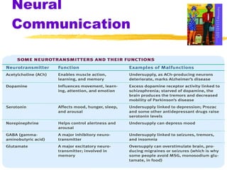 Neural Communication 
