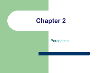 Chapter 2 Perception 