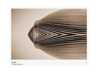 Photo Design_Chapter 2_Design Elements