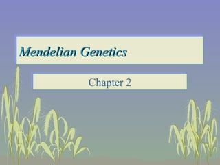 Mendelian Genetics

           Chapter 2
 