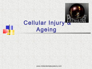 Cellular Injury &
Ageing

www.indiandentalacademy.com

 