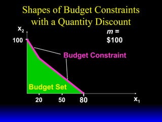 Shapes of Budget Constraints
with a Quantity Discount

x2

m=
$100

100

Budget Constraint

Budget Set
20

50

80

x1

 