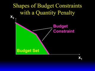 Shapes of Budget Constraints
with a Quantity Penalty

x2

Budget
Constraint

Budget Set
x1

 