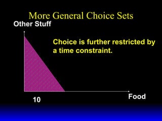 More General Choice Sets

Other Stuff

Choice is further restricted by
a time constraint.

10

Food

 