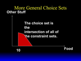 More General Choice Sets

Other Stuff

The choice set is
the
intersection of all of
the constraint sets.

10

Food

 