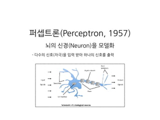 퍼셉트론(Perceptron, 1957)
뇌의 신경(Neuron)을 모델화
- 다수의 신호(자극)을 입력 받아 하나의 신호를 출력
 