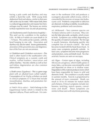 109CHAPTER 2
INGREDIENT EVALUATION AND DIET FORMULATION
SECTION 2.4
Feed toxins and contaminants
having a pale comb and diarrhea and may
exhibit a duck-like walk. With young birds
abdominal fluid and edema, similar to that seen
with ascites may be noted. With mature birds, there
is a reduced egg production and massive liver hem-
orrhages may be noted. The lesions are similar
to those reported for toxic fat and salt poisoning.
viii) Daubentonia seed (Daubentonia longifolia) –
This seed can be a problem in the southern
USA. As little as 9 seeds can cause death in 24
– 72 hours. The comb can be cyanotic, with the
head hanging to one side. Emaciation and
diarrhea may also be noted. Severe gastroenteritis,
ulceration of the proventriculus and degenera-
tion of the liver are not uncommon.
ix) Glottidium seed (Glottidium vesicarium) –This
seed is often found in the southeastern USA.
Clinical symptoms are a cyanotic comb and
wattles, ruffled feathers, emaciation and
yellow diarrhea. Necrotic enteritis as well as liver
and kidney degeneration are also common
observations.
x) Death camas (Zygadenus) –This is a green range
plant with an alkaloid toxin called nuttallii.
Consumption of 5 to 10 g by a chicken can result
in clinical symptoms in 12 hours that include
incoordination, diarrhea and prostration fol-
lowed by death.
xi) Vetch (Vicia sativa) - Vetch belongs to the
Leguminosae family which is related to the
legumes Lathyrus, Pisum and Ervum. It is com-
mon in the northwest USA and produces a
cyanogenic glucoside called viciana, which is
converted by the enzyme vicianase into hydro-
cyanic acid. Problems comparable to lathyrism
are observed, including excitability, incoordination,
respiratory problems and convulsions.
xii) Milkweed – Two common species are
Asclepias tuberosa and A. incarnata. They con-
tain the bitter glucoside, asclepdin, which is toxic
to birds. Symptoms vary widely depending on
the quantity of material consumed. The first sign
is usually lameness, developing quickly into
complete loss of muscle control. The neck
becomes twisted with the head drawn back. In
some cases symptoms gradually subside. In
fatal cases, symptoms become more progressive
and prostration, coma and death result. No char-
acteristic lesions are seen on necropsy.
xiii) Algae – Certain types of algae, including
Microcystis aeruginosa, which readily grows in
many lakes, can become concentrated by wind
and deposited on shore or in shallow water.
Degradation of this material produces toxins which
have been responsible for losses in wild and
domestic birds. The condition is usually noted
in summer months. Toxicity is proportional to
the amount of toxin consumed. Death can
result in 10 to 45 minutes for mature ducks
and chickens. Clinical symptoms include rest-
lessness, twitching, muscle spasms, convul-
sions and death. These symptoms are
similar to those seen with strychnine poisoning.
 