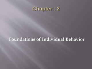 Foundations of Individual Behavior
 