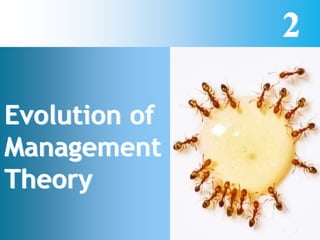 2
Evolution of
Management
Theory
 