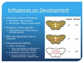 Influences on Development
 Genotype versus Phenotype
 Genotype: Set of genes
 Phenotype: What is observable
 Polygenic (many-genes):
 most traits are influenced by
multiple genes
 RNA has significant role in
memory
 Chromosomal Defects
 Down syndrome
 More susceptible to alzheimer’s,
leukemia, and heart disease
 Klinefelter syndrome (XXY)
 Turner syndrome (X): short,
drooping eyelids, webbed neck
 