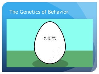 The Genetics of Behavior
 Both genes and environment
interact to shape human
behavior.
 The fundamental issue is
how much a role genetics
do play in shaping human
behaviors.
 Examples: psychological
disorders, weight gain,
personality, sexual
orientation?
 