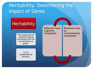 Heritability
The proportion of
variation among
individuals that we
can attribute to
genes.
It is a
mathematical
formula.
Heritability: Determining the
Impact of Genes
Behaviors have
a genetic
component
Behaviors have
an
environmental
component.
 
