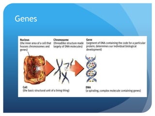 Genes
 