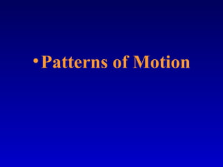 •Patterns of Motion
 